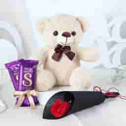 Single Rose & Teddy Chocolate Combo