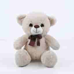 Single Rose & Teddy Chocolate Combo