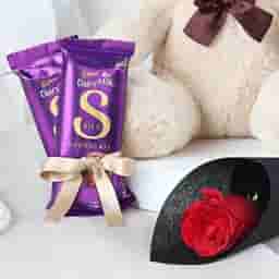 Single Rose & Teddy Chocolate Combo