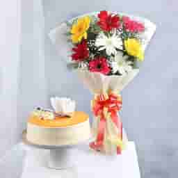 Mixed Gerberas with Butterscotch Delight