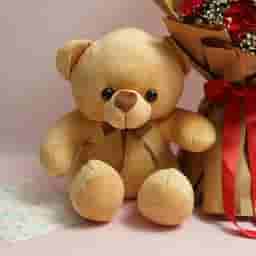 Carnation Bliss with Teddy