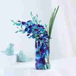 Radiant Orchid Vase with Chocolate