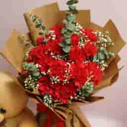 Carnation Bliss with Teddy