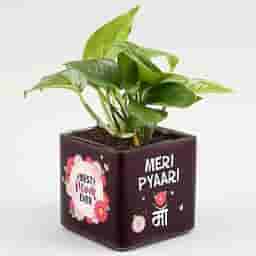 Cute Plant Gift for Maa
