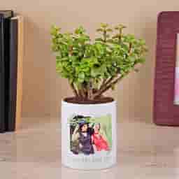 Photo Printed Planter with Jade Plant