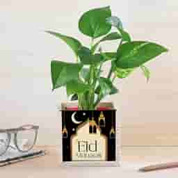 Eid Mubarak Money Plant Gift Pot