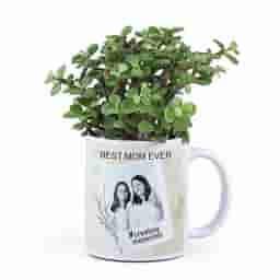 Photo Mug with Jade Plant