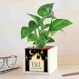 Eid Mubarak Money Plant Gift Pot