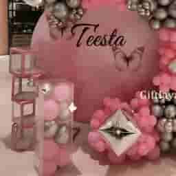 Pink and Silver Theme