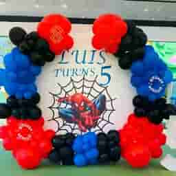 Customized Spiderman Backdrop