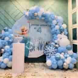 Disney Frozen Theme Decoration