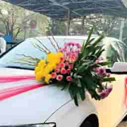 Grand Wedding Car Decoration