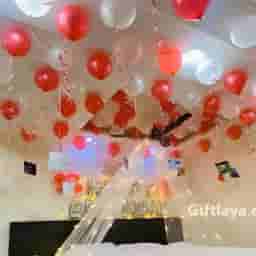 Net Decoration for Birthday