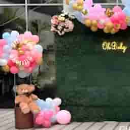 Oh Baby Green Backdrop Setup