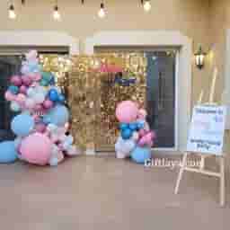 Baby Shower Sequins Backdrop