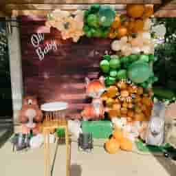 Customized Oh Baby Backdrop
