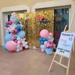 Baby Shower Sequins Backdrop