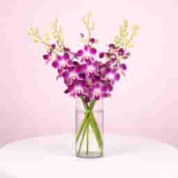 Purple Floral Beauty