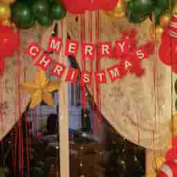 Merry Christmas Backdrop