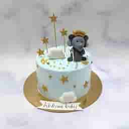 Baby Elephant Welcome Cake