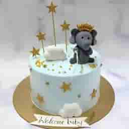 Baby Elephant Welcome Cake