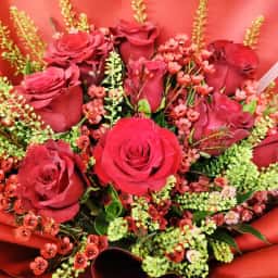  Red Rose Bouquet for Valentine