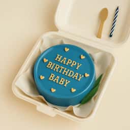 Mini Bento Cake