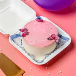 Butterfly Bento Cake