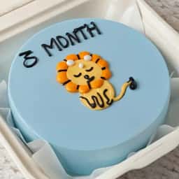 Baby Lion Theme Bento Cake