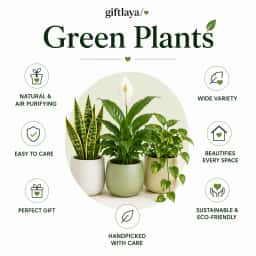 Giftlaya trust image for our products