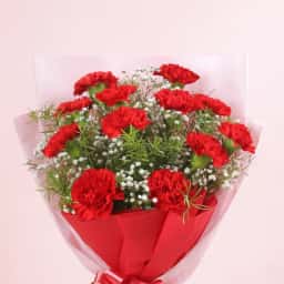 Beautiful Carnations Bouquet