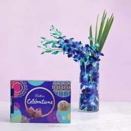 Radiant Orchid Vase with Chocolate