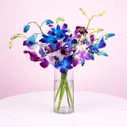 Blooms in a Cylindrical Vase