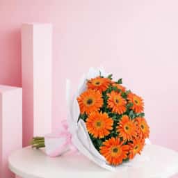 Dazzling Orange Gerberas