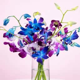 Blooms in a Cylindrical Vase