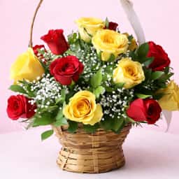 Red and Yellow Roses