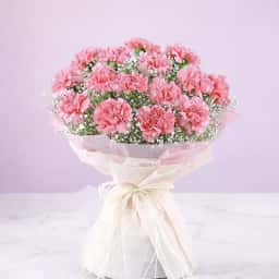 Carnation Combo for Mom