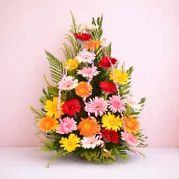 Mesmerizing Mixed Carnations Arrangements