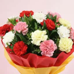 Mixed Carnations Bunches