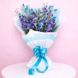 Beautiful Blue & Purple Orchids