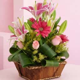 Mixed Flower Bouquet & Cake