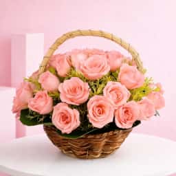 Little Bit of Pink Roses