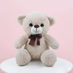 Single Rose & Teddy Chocolate Combo