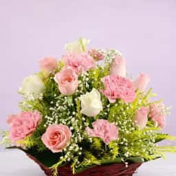 Roses Carnations Floral Fusion