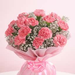 Baby Pink Carnation Bouquet