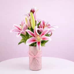 Pleasing Lily in a Vase