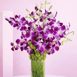 Romantic Purple Orchid Bunch