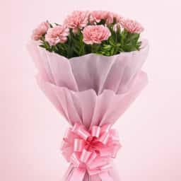 Pink Carnations Bunches