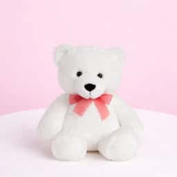 Mixed Rose Vase with Teddy