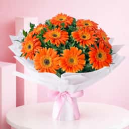 Dazzling Orange Gerberas